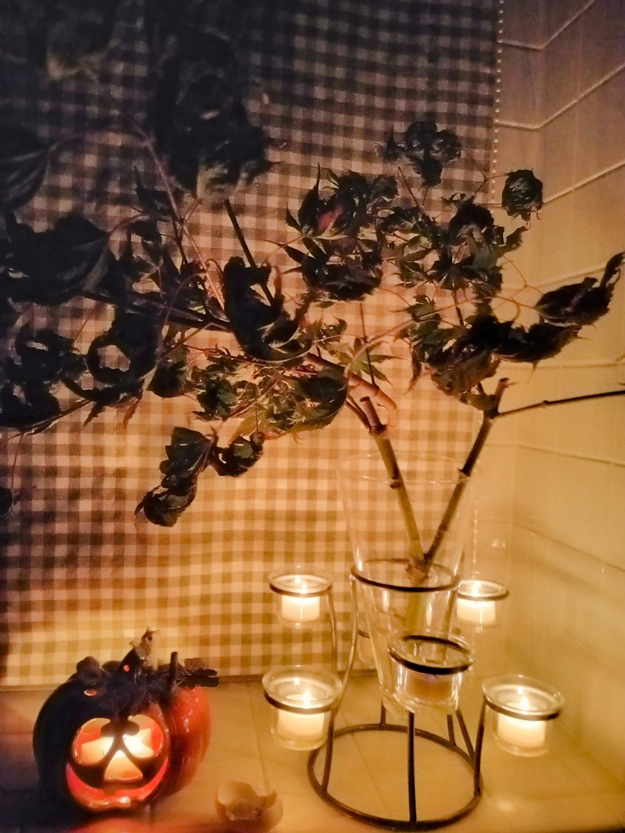 katchan3892's tweet photo. Here're some more photos of #dumbo, #statueofliberty, and #brooklybridge. look familiar to you?
We climbed up to the crown of statue of liberty. It wasn't that hard!
The 4th picture, I pulled out the Jack-o-lantern to decorate my kitchen for Halloween.
#761daytime https://t.co/B4Jtd5VqTj