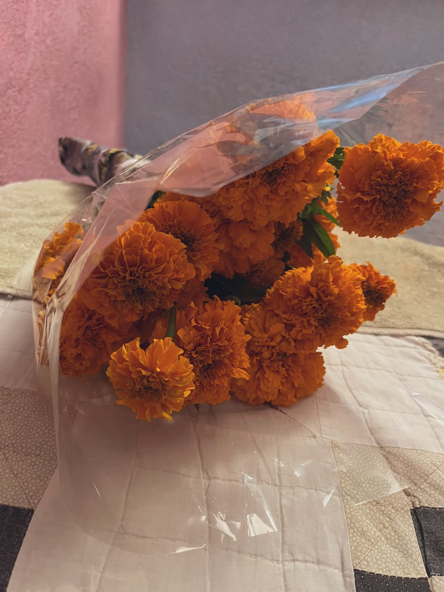misheeellg's tweet photo. Tu papi deberia de estar trayendote juguetes, ropita y no flores para armar tu altar. 😢💔 https://t.co/2k1picMq9t