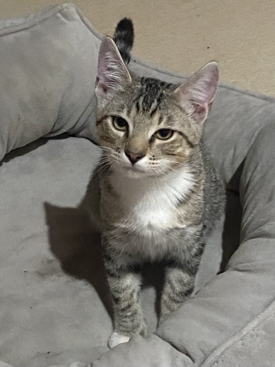 Shannon Minter tweet media