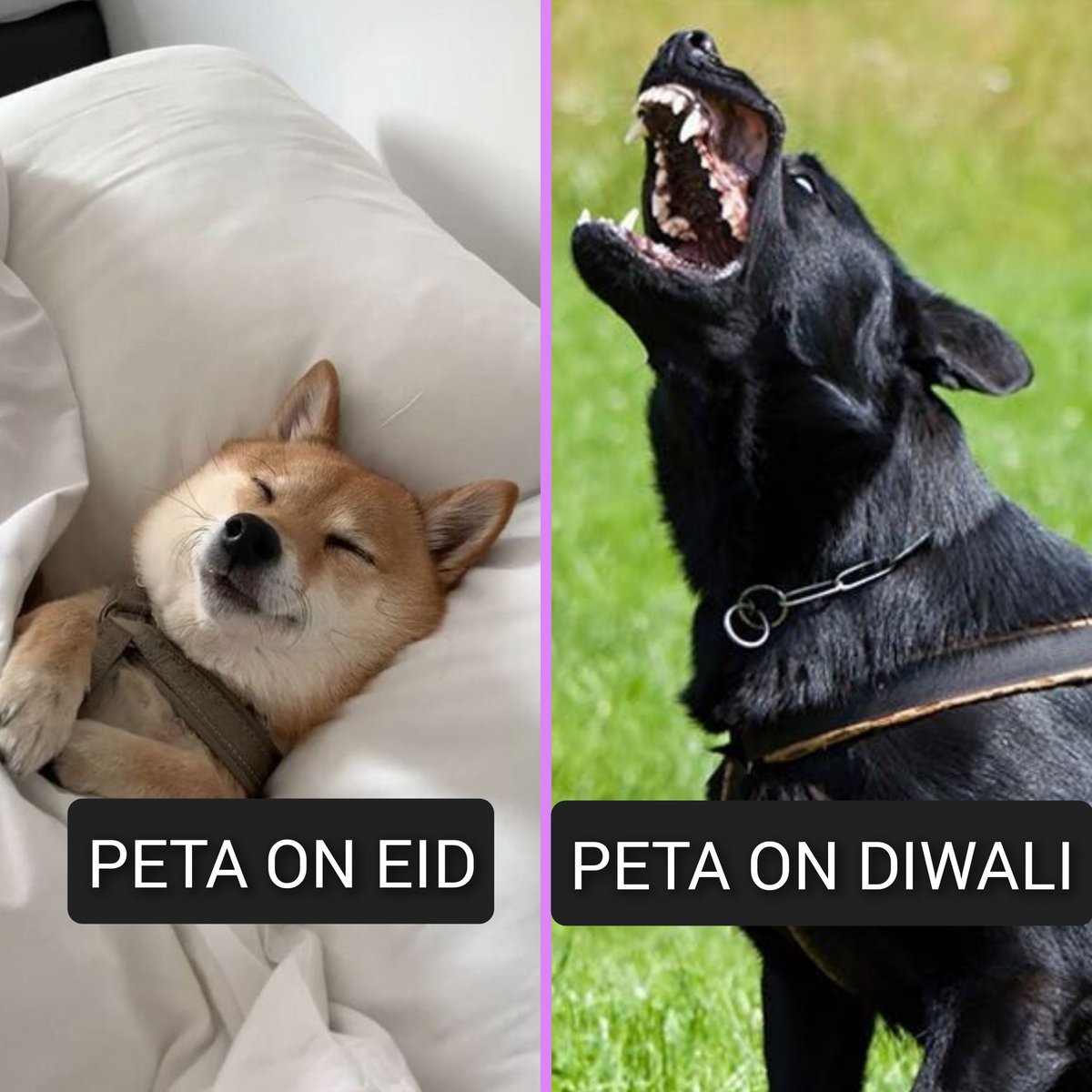 PoornimaNimo's tweet photo. Fact !! https://t.co/jtcrRdoviL