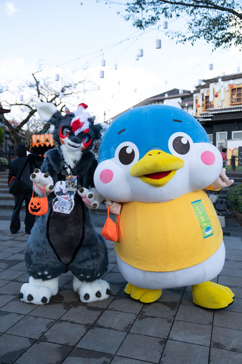 yamakami_kg's tweet photo. とっきぃまた会えるかなあ🎃
#FursuitFriday #Kemocon16 https://t.co/ODQtHHIniJ