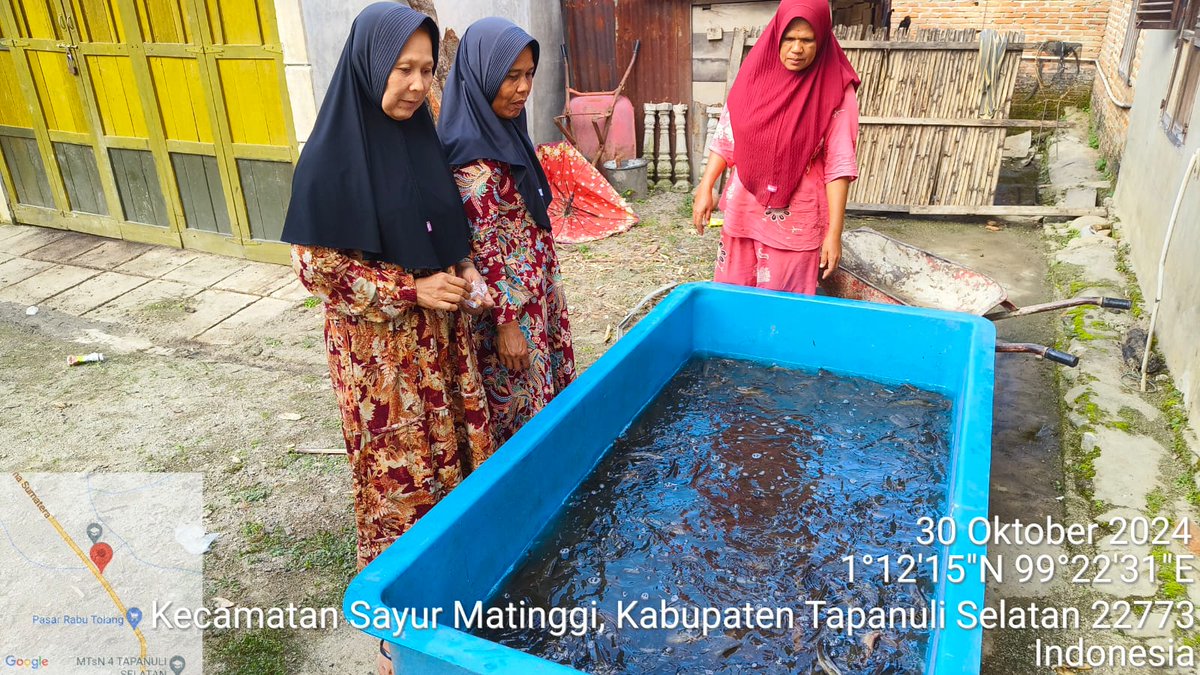 IsratulQ's tweet photo. Rabu, 30 Oktober 2024, Isratul Qiro Luhkan Tapsel, di Poklahsar Patogar Sipange Godang, Kec.Sayurmatinggi,  hasil produksi Ikan Lele Sale/ Ikan Lele Asap :  35 Kg harga 95000/kg.#Luhlapor #produksi #Tapsel #GiatLuhkanSatminkalMedan https://t.co/ukG9ne04t5