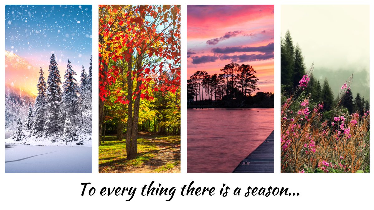 HeartofCarolina's tweet photo. To everything there is a season, change is inevitable but hopefully it will be a change for the better! https://t.co/dyLWEchdrt