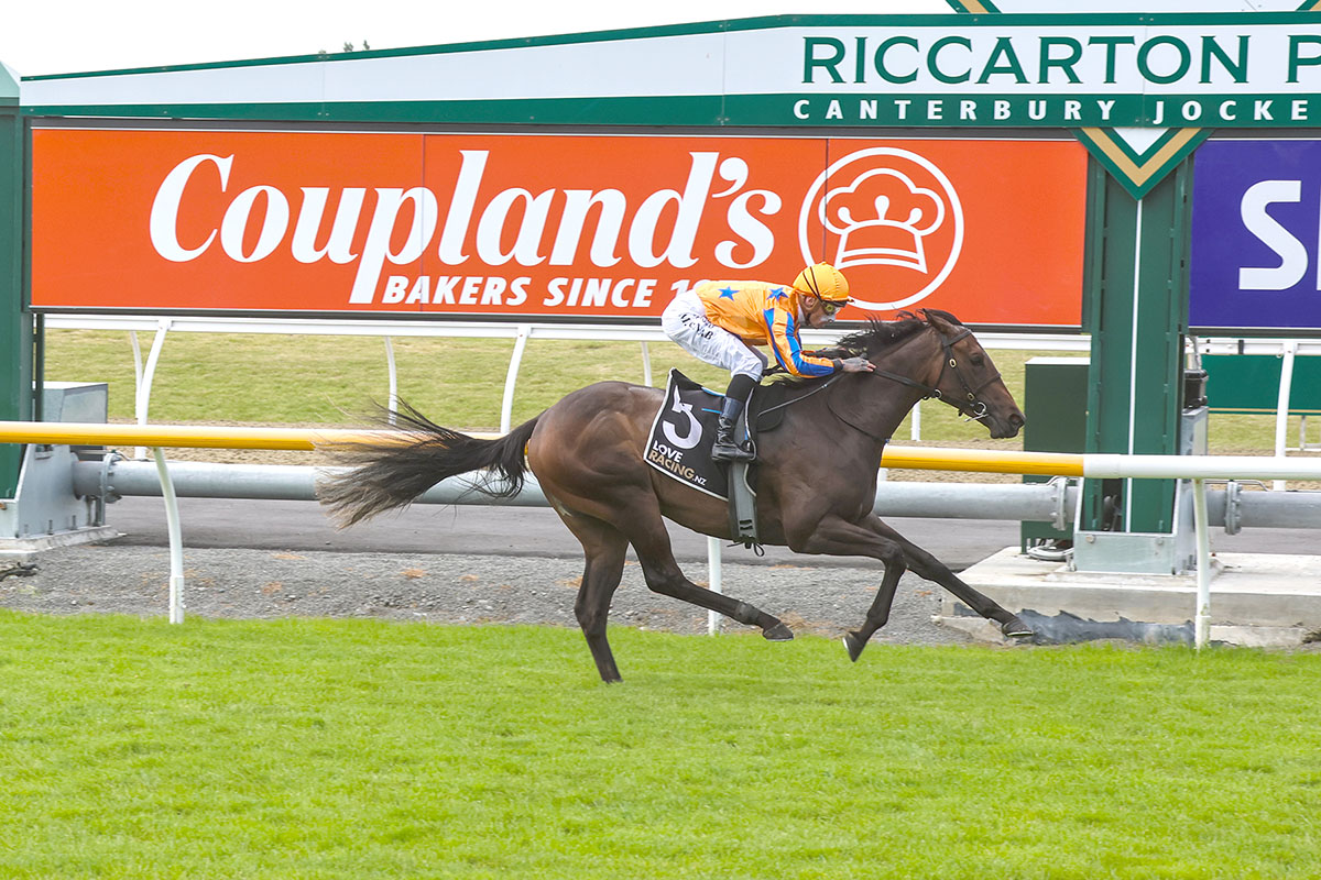 Te Akau Racing (@teakauracing) on Twitter photo <a href="/TeAkauRacing/">Te Akau Racing</a> can today confirm that talented All Too Hard filly Dream Of The Moon (who we know as Selene) will next start in the Group 1 NZ 2000 Guineas on Saturday week at Riccarton.
Runner up in both the Grp 3 Barneswood Farm Stakes & Listed Canterbury Belle Stakes this <a href="/TeAkauRacing/">Te Akau Racing</a> can today confirm that talented All Too Hard filly Dream Of The Moon (who we know as Selene) will next start in the Group 1 NZ 2000 Guineas on Saturday week at Riccarton.
Runner up in both the Grp 3 Barneswood Farm Stakes & Listed Canterbury Belle Stakes this