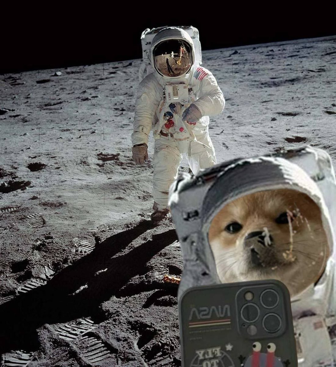 soldejenxc's tweet photo. @HTX_Global It’s #moonvember and then bullcember 😤 also $selfie https://t.co/a7nKmB731A