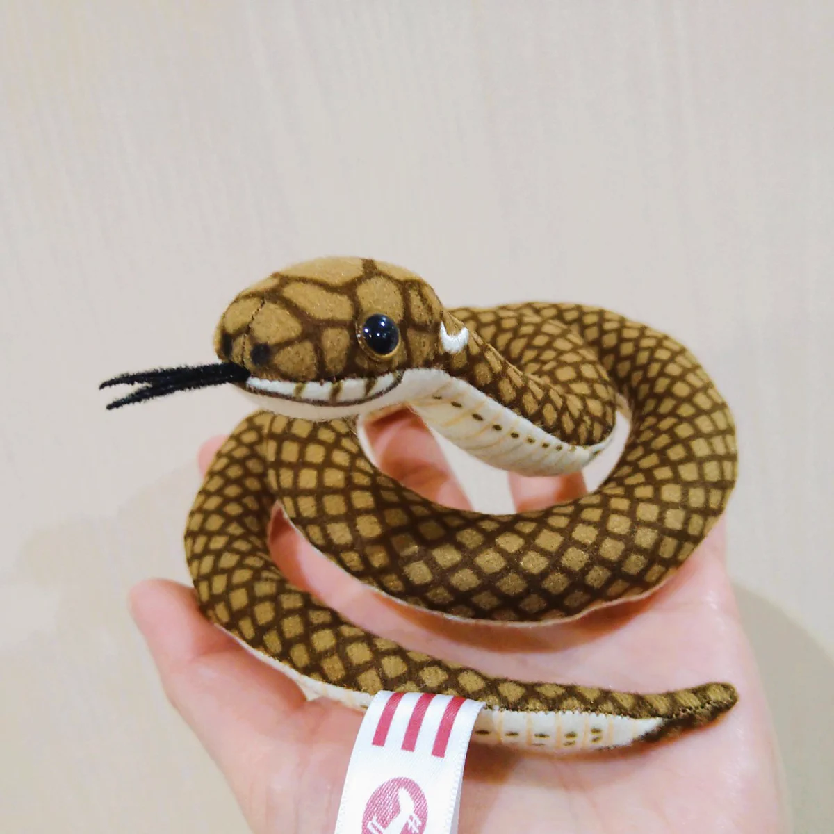 上野動物園［公式］ on X: 