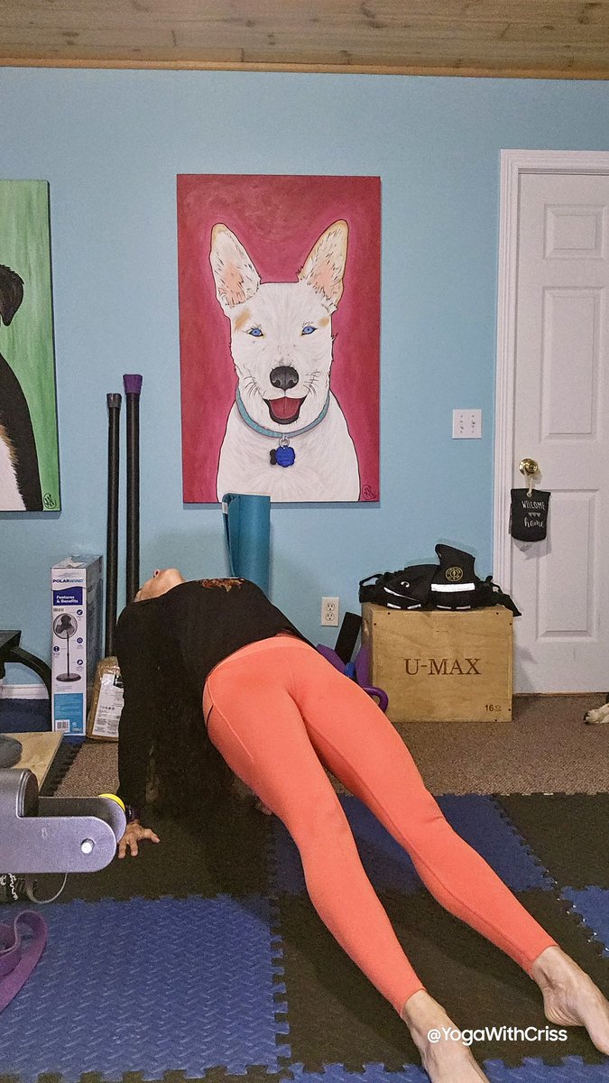 YogaWithCriss's tweet photo. Por poco y no completaba los 55 segundos del #reverseplank, pero lo logré. 😅😅
@NanckyQueen https://t.co/iiNmMioQRK