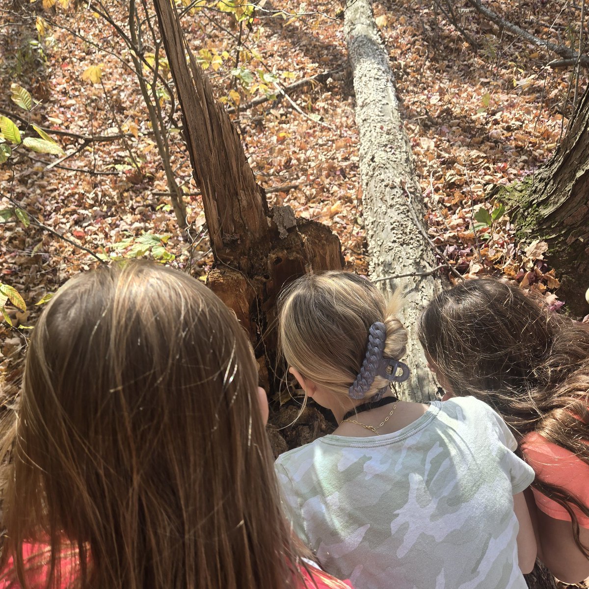 MrsRobertsonKIS's tweet photo. We just had to get outside today to enjoy the beautiful weather and our awesome Kenston Trails with our @GeaugaParks Nature Scopes binoculars!  We even stopped on the Timmons playground to let our students reminisce a little!  @kelly_kris_ @KenstonSchools @KenstonKMS https://t.co/Xij13c57pn