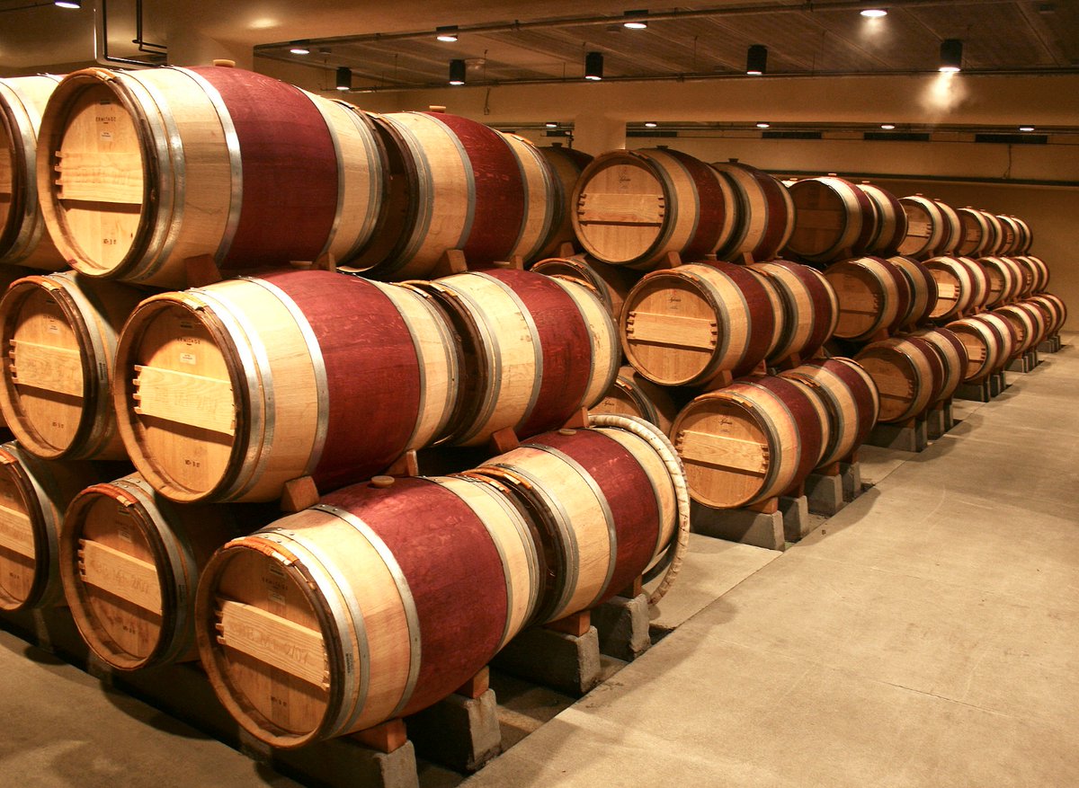 davso0ii's tweet photo. 🍷 Primates' fruit-storing led to accidental "monkey wine." 🐒🍇 Human winemaking dates back to 10,000 BC, with early uses in diet, medicine, and religion. #WineOrigins #WineHistory #AncientBeverages https://t.co/KNAcnqQHOl