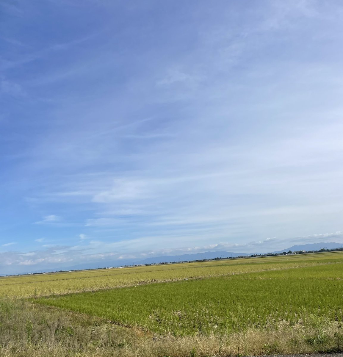 iPhoneShop_info's tweet photo. この広大な越後平野🌾

どこが誰の田んぼなのかよく管理できるなぁ…🤔

#秋晴れ 
#企業公式が地元の天気を言い合う 
#企業公式さんと繋がりたい 
#相互フォロー https://t.co/X1NW4eLiSe