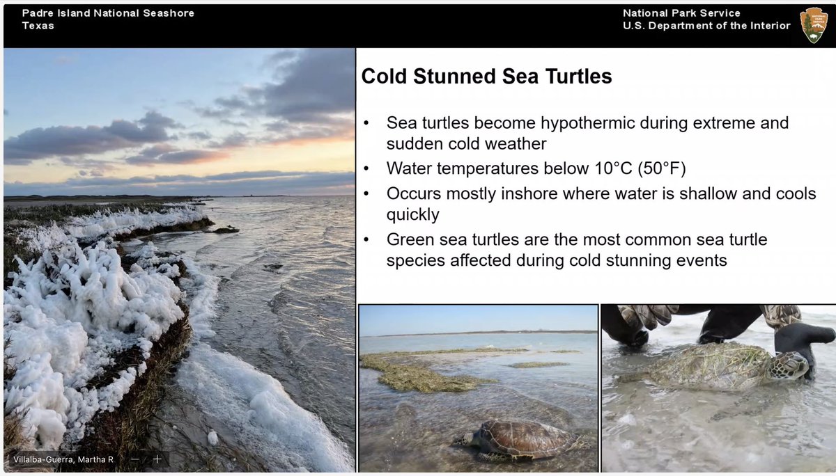 Tess DeSerisy tweet media