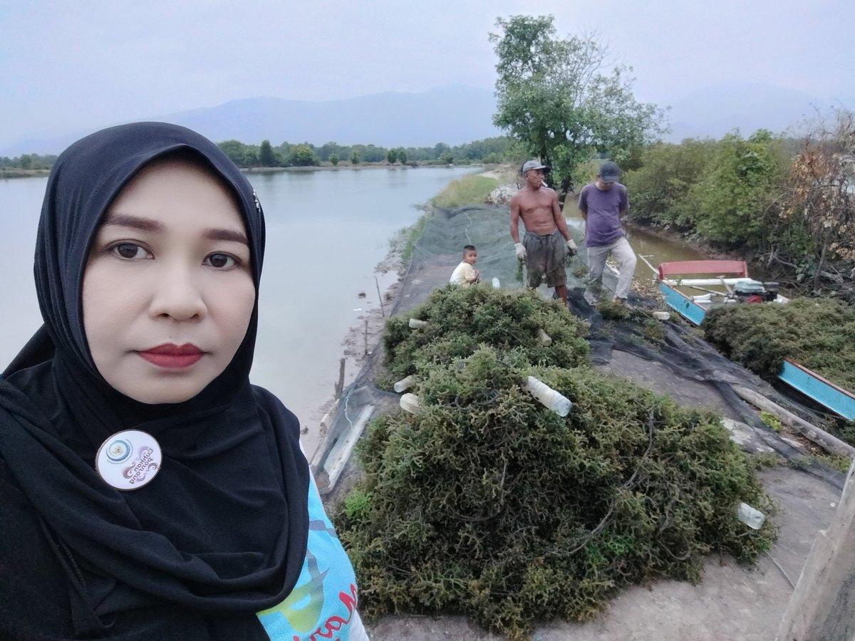 hasrlana80's tweet photo. Ahad(20/10), Hasriana,Luhkan Kab.Luwu, Melaporkan Hasil Panen Budidaya Rumput Laut Kotonii Ketua Pokdakan Cahaya Katonik di Desa Tirowali Kec.ponrang,  Kurang Lebih 1.670 Kg.Harga jual basah Rp.3.000
#GiatLuhkanSatminkalMaros
#luhlapor
@BRPBAP3_Maros
@Puslatluhkp
@bppsdm_kp 
@kkp https://t.co/d4rCFsHcz1