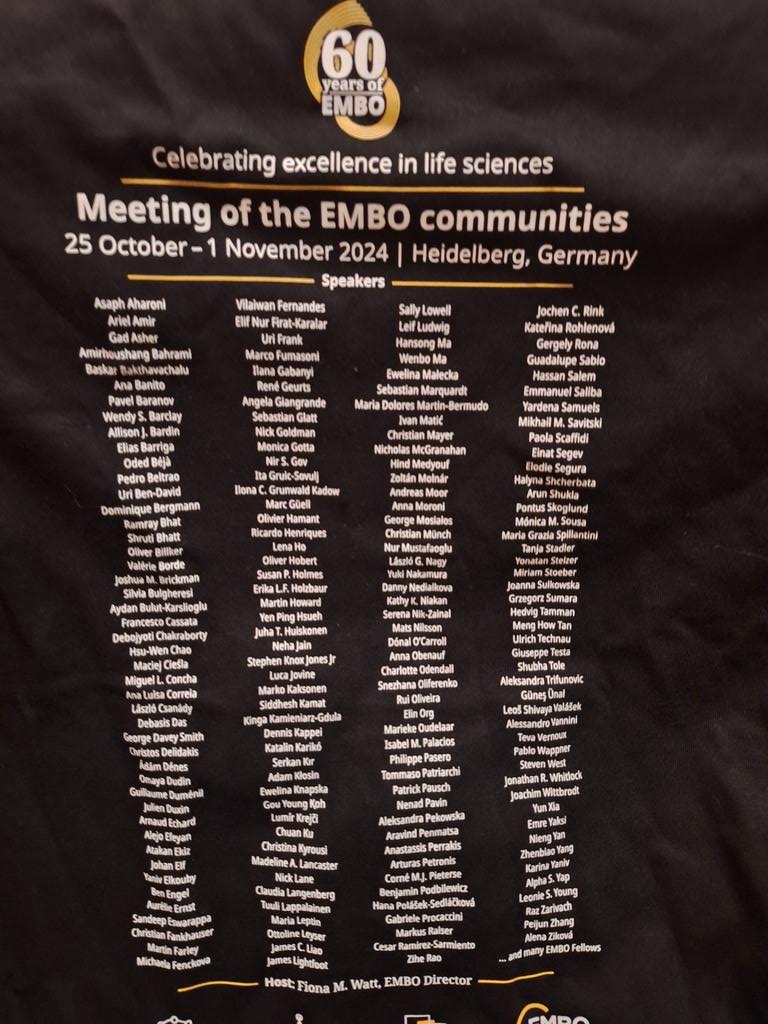 Guadalupe Sabio tweet media