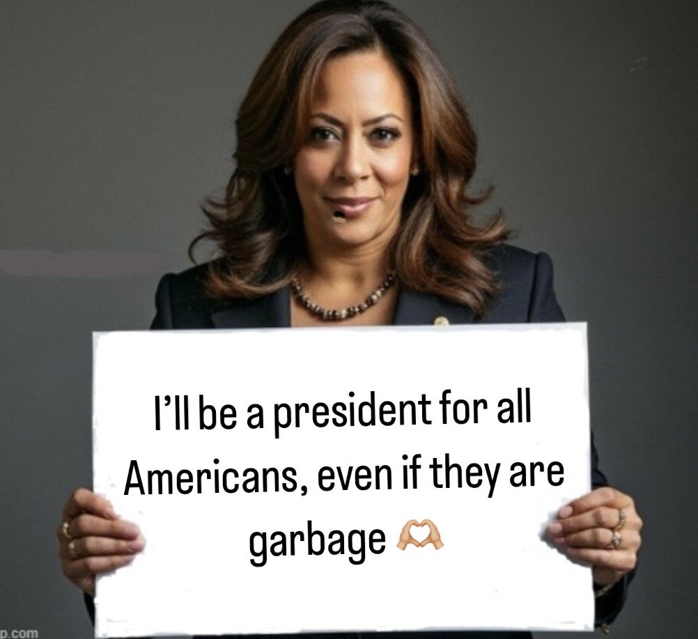 USC Gamecocks tweet media