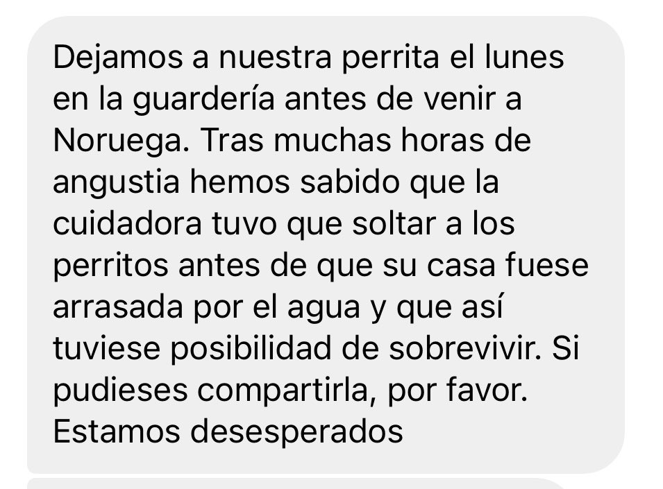 lavecinarubia's tweet photo. Comparto este caso que me llega por Instagram. Por favor, si alguien la ha visto que contacte en esos teléfonos y que nos cuente. 🩷 https://t.co/3cLBJj1WCP