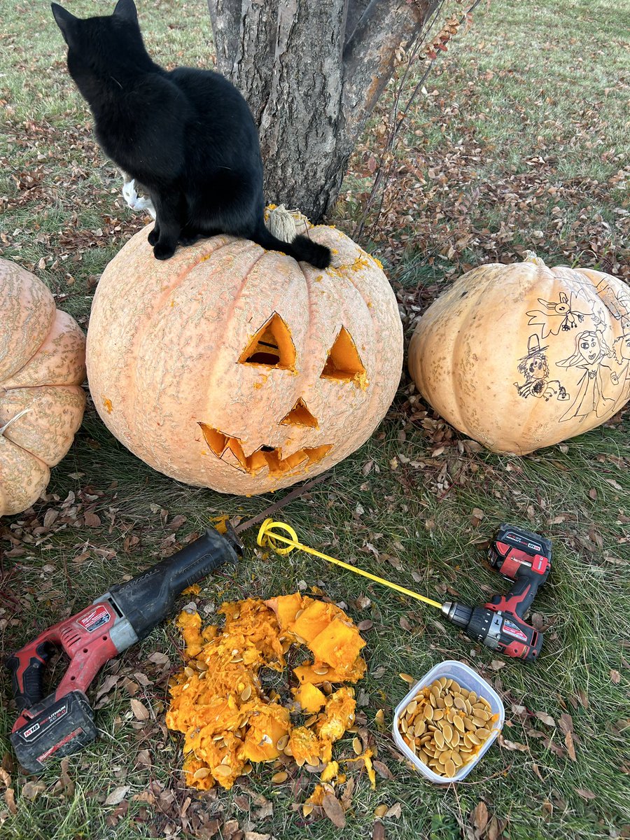 Mitchell Blyth tweet media