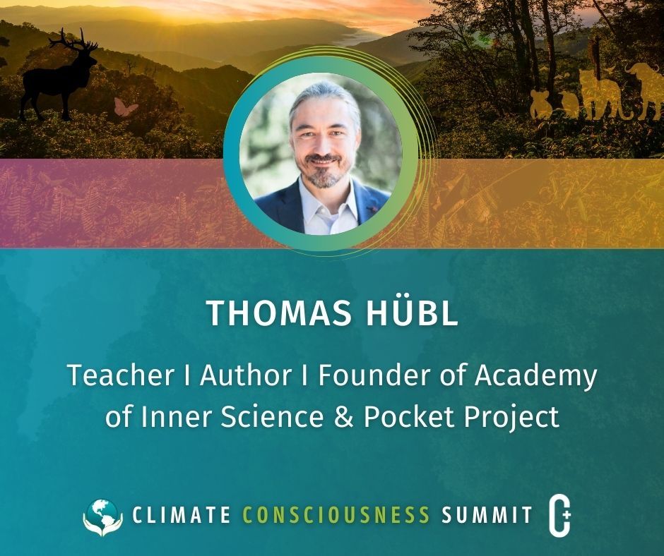 Thomas Hübl tweet media