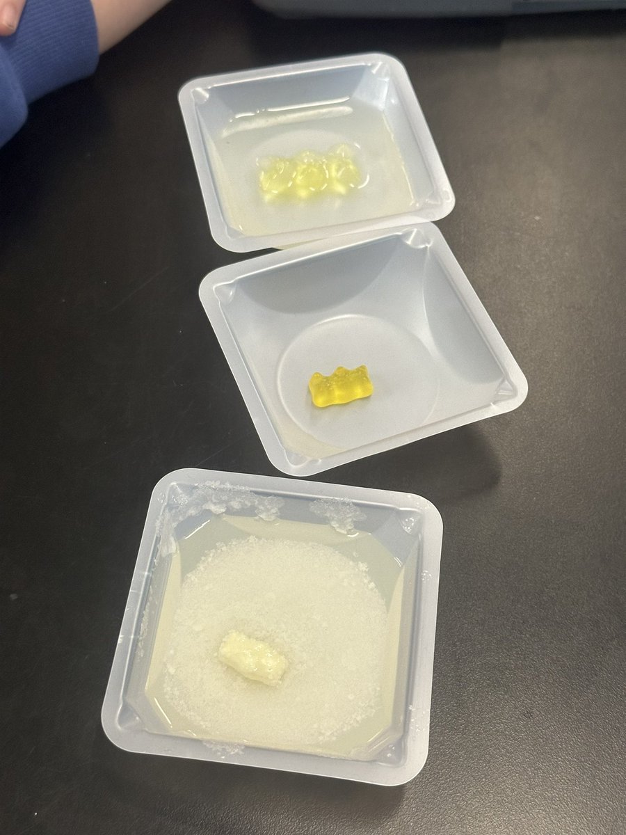 Does the type of water affect the size of the gummy bear? 🐻