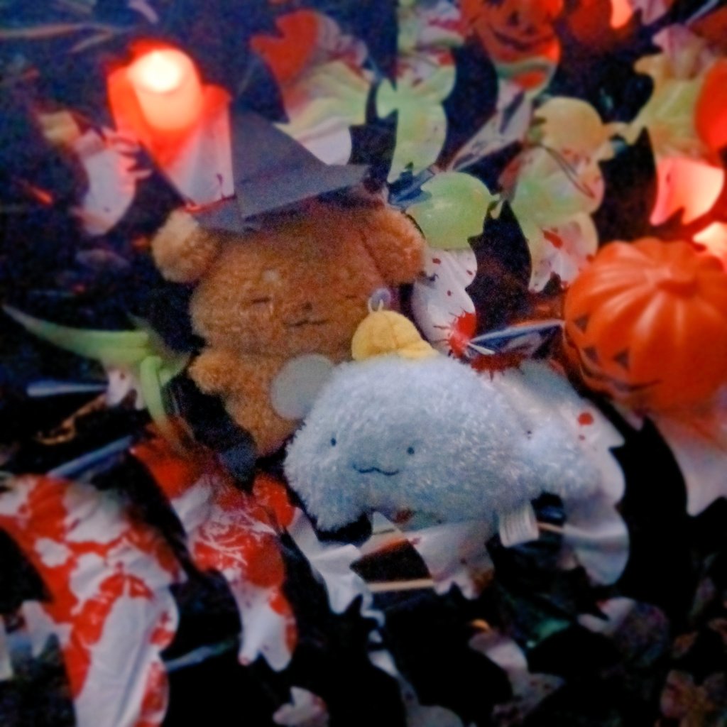 #Halloween
Trick or treat!
사탕을 안주면 장난치겠어요 🎃