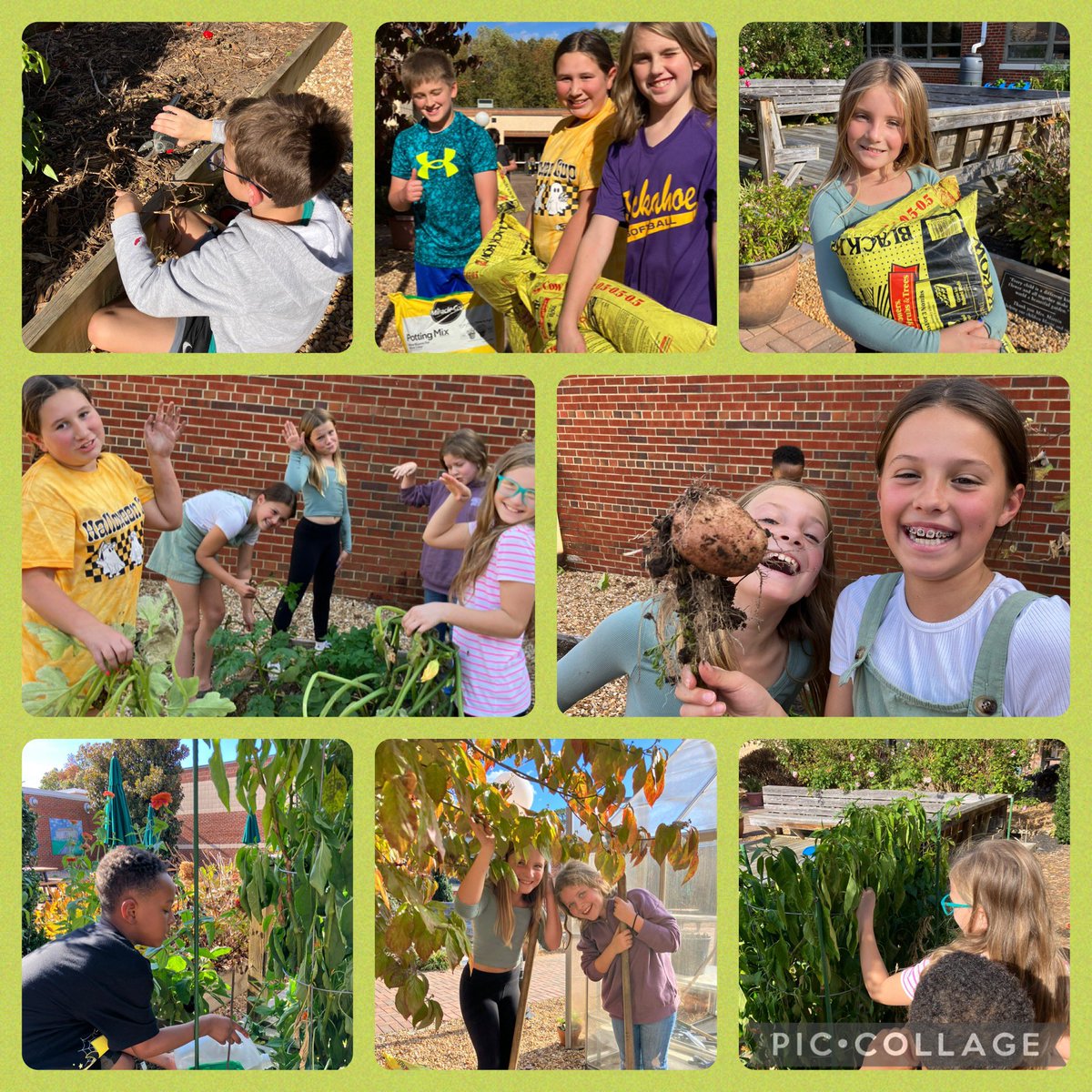 Jaime Sprouse tweet media