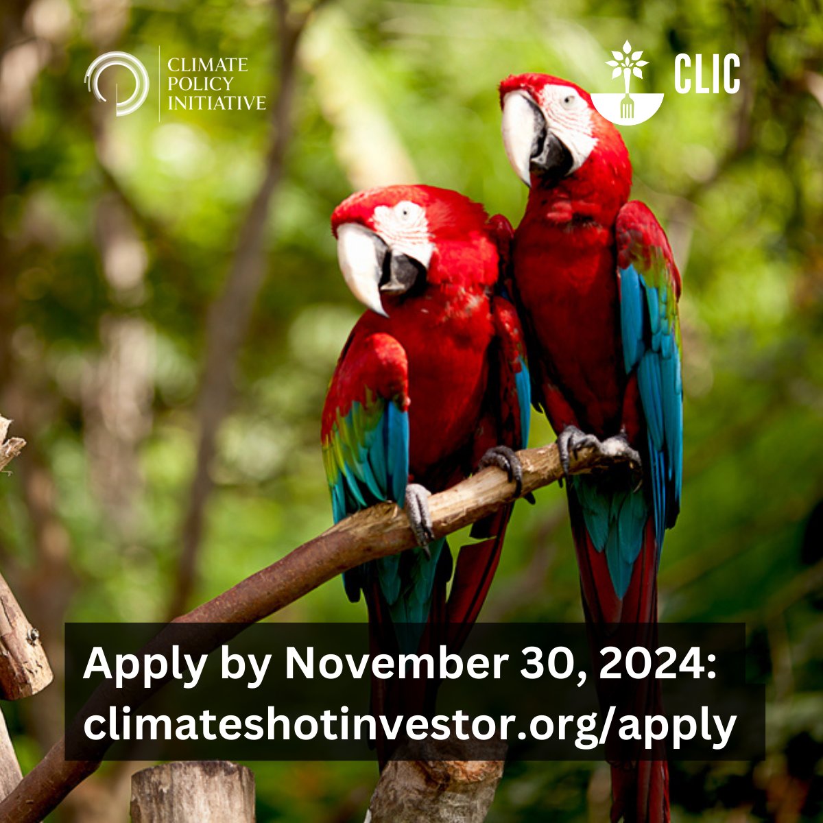 AgFunder's tweet photo. SMEs in Latin America and the Caribbean’s agriculture &amp; food sector - join @climatepolicy's Agrifood Investment Connector, a no-cost program to help you prove your climate, nature, and biodiversity impacts! Apply on the CLIC website now: https://t.co/eoWt9vGEzq https://t.co/WZxLvAiKfa