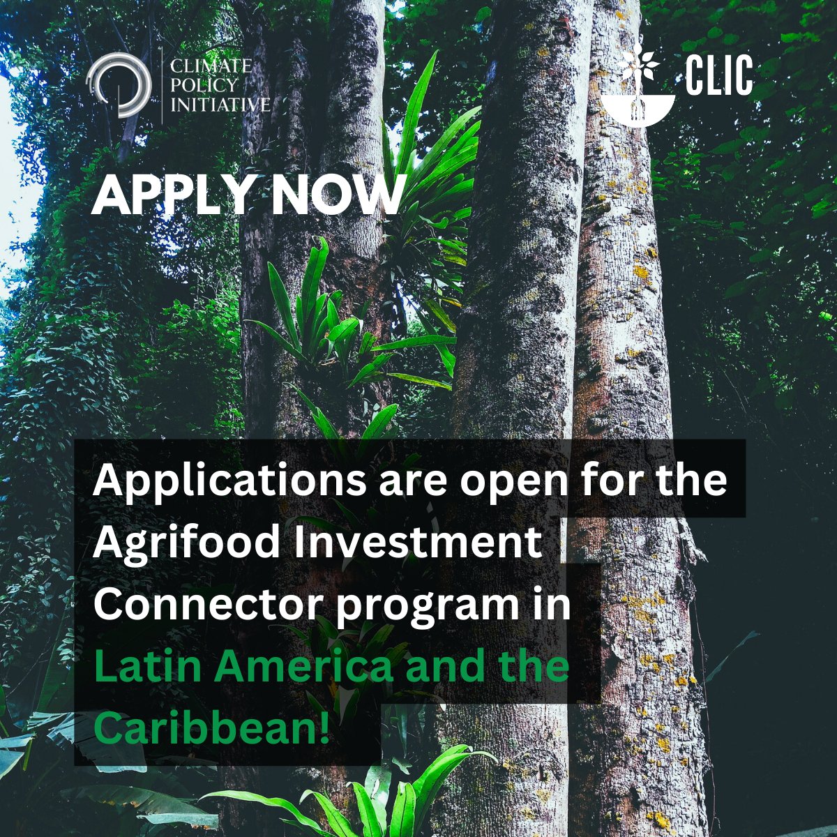 AgFunder's tweet photo. SMEs in Latin America and the Caribbean’s agriculture &amp; food sector - join @climatepolicy's Agrifood Investment Connector, a no-cost program to help you prove your climate, nature, and biodiversity impacts! Apply on the CLIC website now: https://t.co/eoWt9vGEzq https://t.co/WZxLvAiKfa