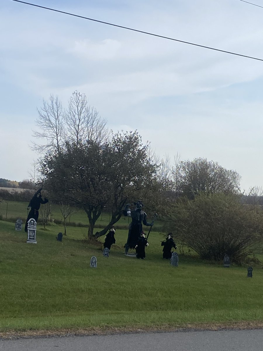 Jacci Dorran Holowath tweet media