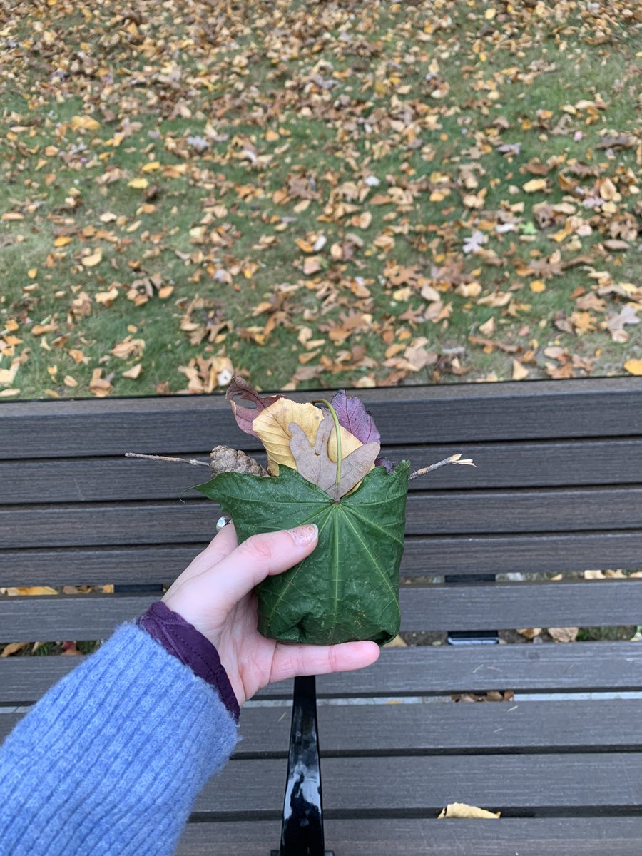 aimoraima's tweet image. How magical it was when, on a walk nearby my home, I found this pretty leave-pocket leave-filled.