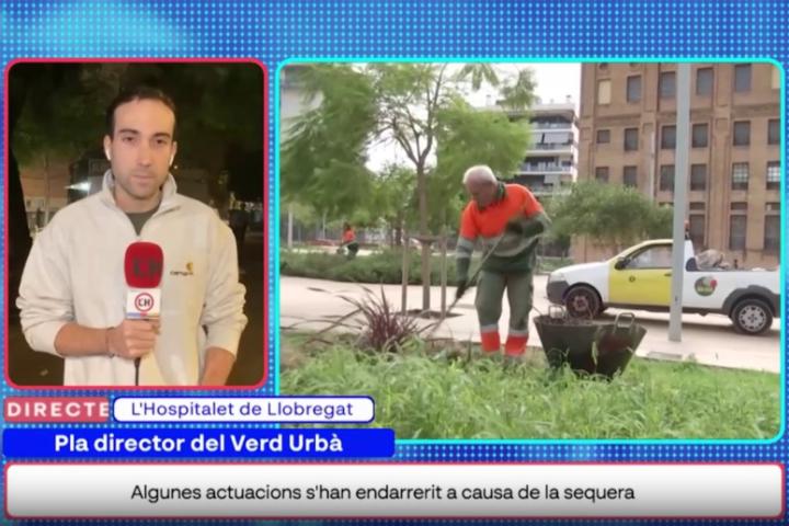 #TVLH | Ja pots recuperar a la carta el programa metropolità #Via15 amb la participació de <a href="/TelevisioLH/">Televisió L'Hospitalet</a>.

🌳 El verd urbà cobrirà un 20% de la ciutat amb arbres.
lhdigital.cat/general/via-15…