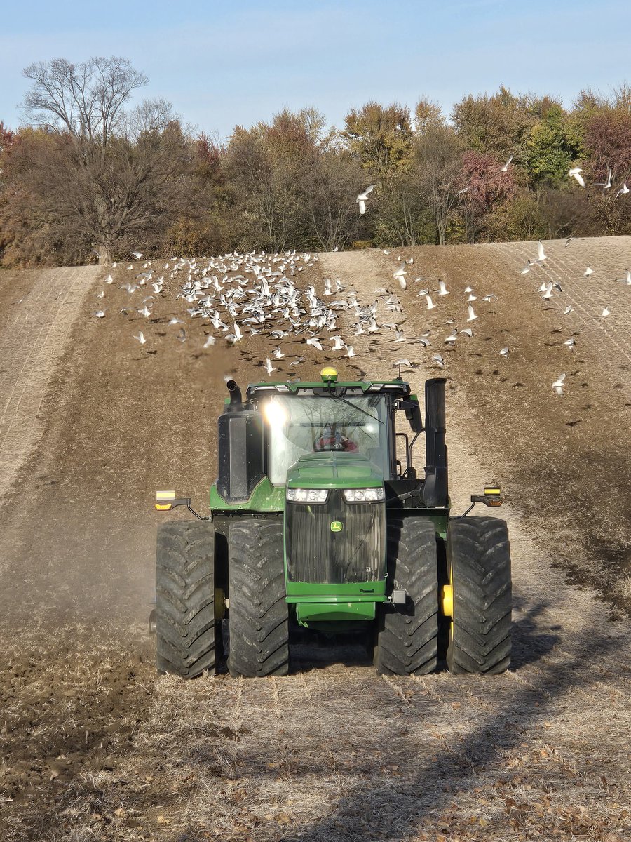 Ian McKillop tweet media