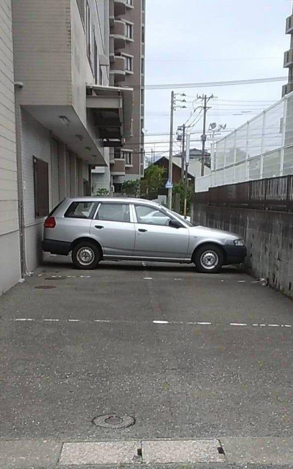 🫧⛷🌈🤿🎉🏂♬🛹🌸🩰🥗🥓🐟😸🐶Amily tweet media