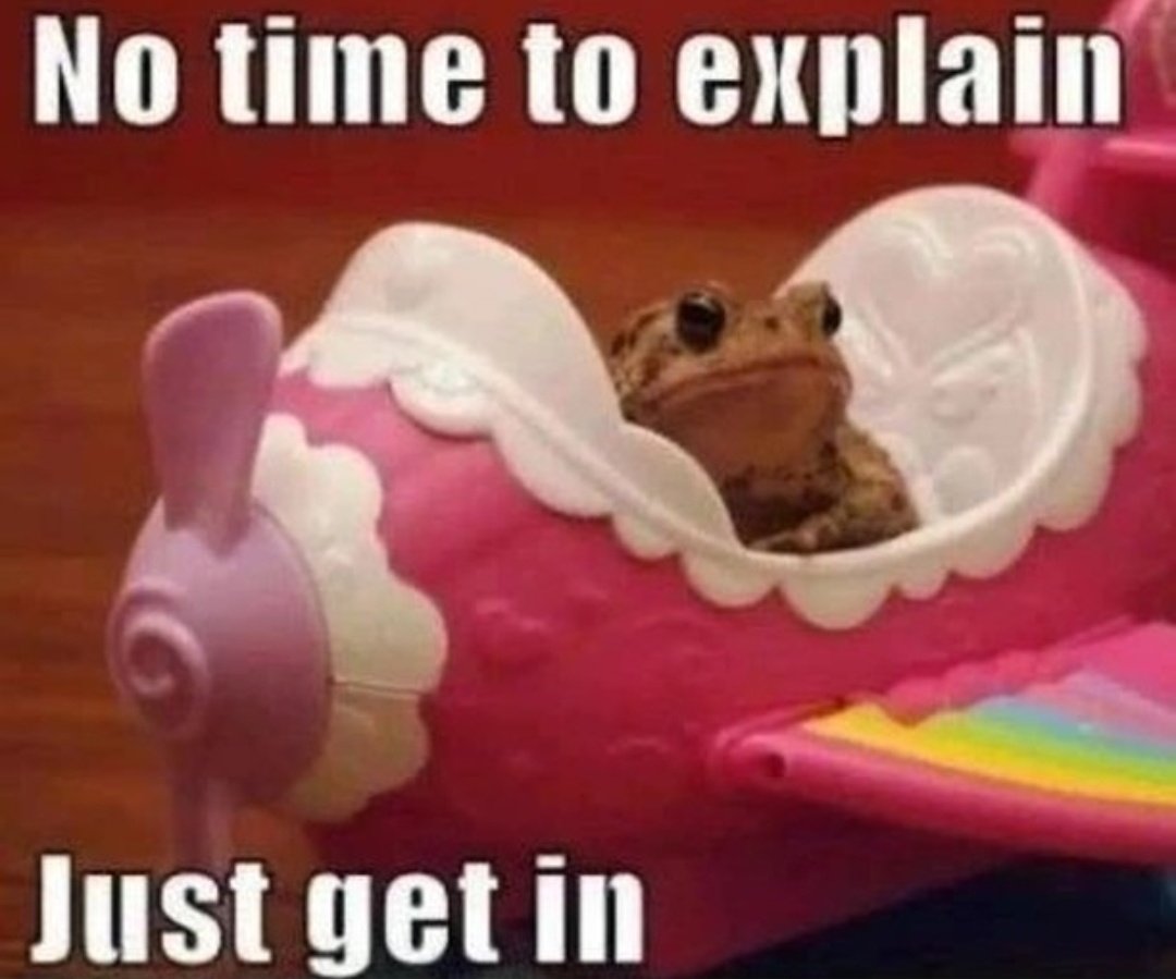 No Context Frogs tweet media