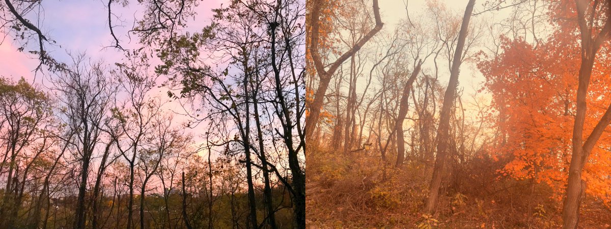 Tonight, <a href="/runredrunfelts/">Run Red Run</a>  and I were in different parts of the city and took these photos with our phones at the same time.

I got 80s Pretty In Pink, she got a 1975 Polaroid picture.