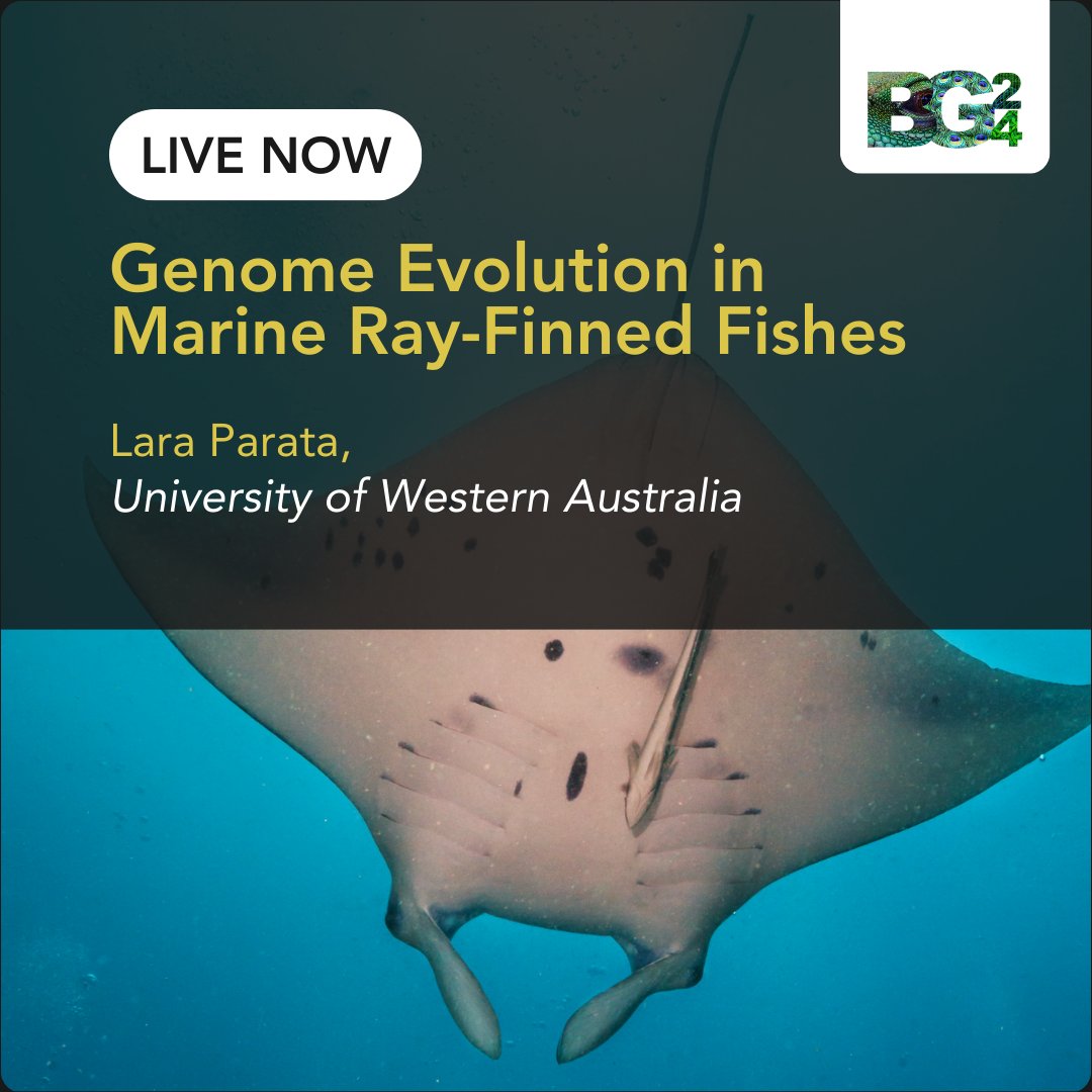 Earth BioGenome Project (@ebpgenome) on Twitter photo LIVE at #BG24 : <a href="/LaraParata/">Lara Parata</a> from University of Western Australia discusses #genome #evolution in #marine ray-finned #fishes
#gneomes #aquatic LIVE at #BG24 : <a href="/LaraParata/">Lara Parata</a> from University of Western Australia discusses #genome #evolution in #marine ray-finned #fishes
#gneomes #aquatic