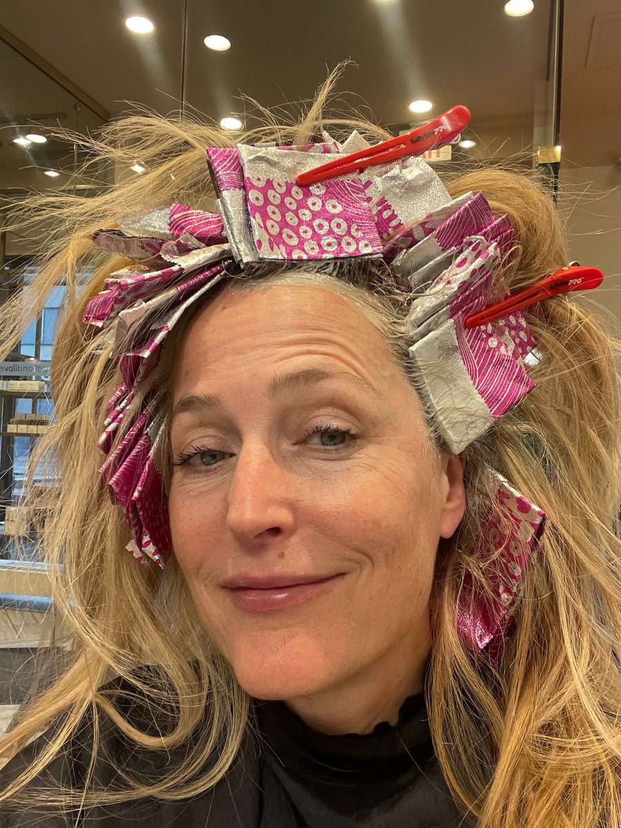 Gillian Anderson tweet media