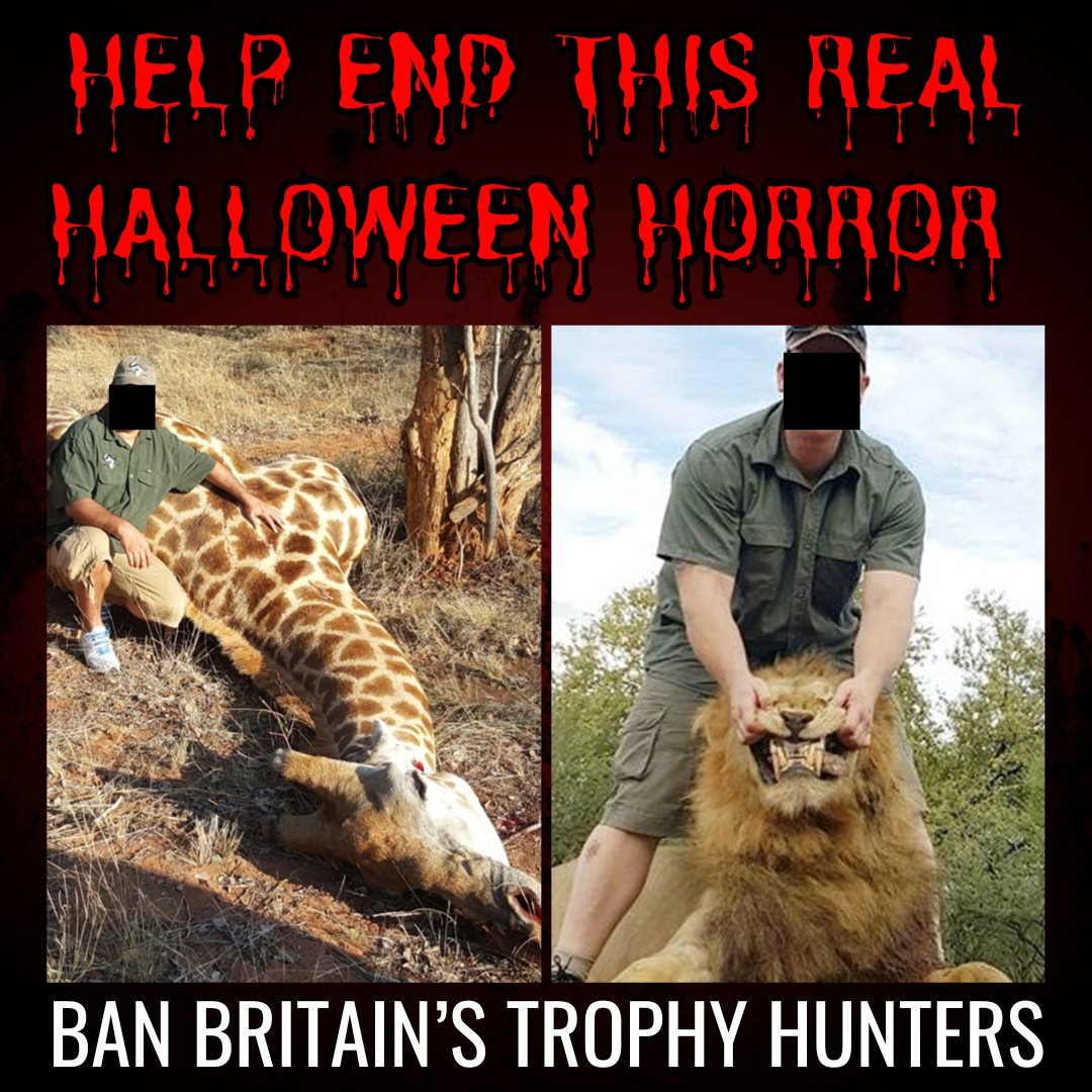 CBTHunting's tweet photo. It is still LEGAL for these BRITISH trophy hunters to import their hunting trophies into the UK. Help us end this vile practice. Please sign the petition &amp; donate to the campaign at https://t.co/gpEH12sPGI.

#BanTrophyHunting https://t.co/yUeGR5VsKT