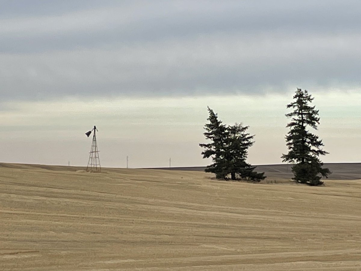 PNWcoug's tweet photo. Tired windmill N of Reardan, WA https://t.co/1q3eg1T803