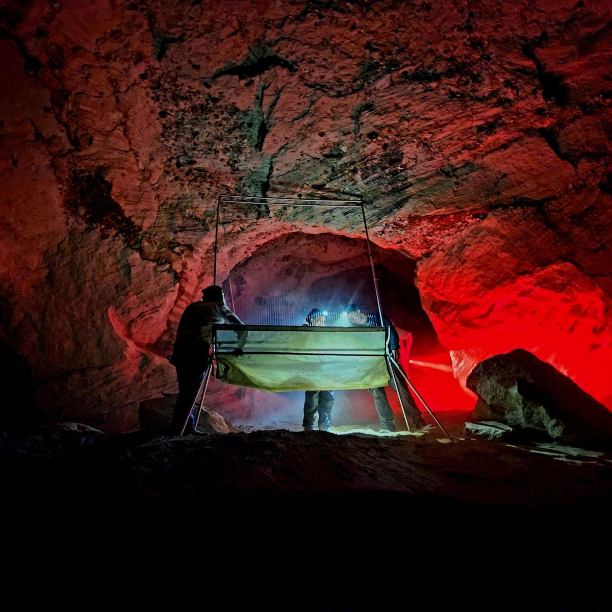 EcolSocAus's tweet photo. Time to vote! 🏆️ Help us choose the winner of the People’s Choice Award in our Ecology in Action photography competition.

Select your favourite image from each category online now: https://t.co/v6y0rGYXbM

#NaturePhotography #landscapephotography #naturelovers https://t.co/JiD5G8p1Pz