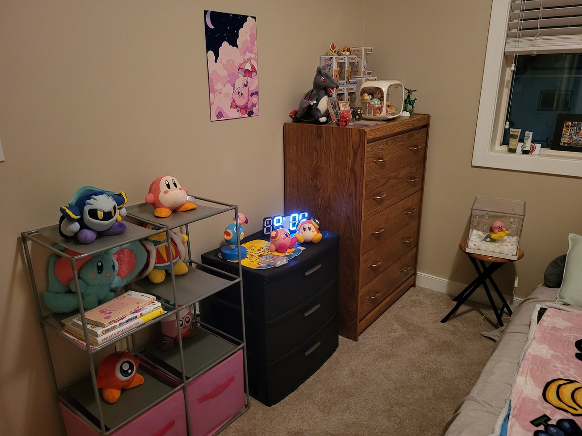 xxliquidrave's tweet photo. @Skywatcher__ I forgot to tell you!! I've turned my spare room into a kirby room!! https://t.co/CIOsLp7xu0
