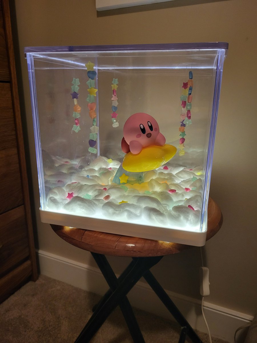 xxliquidrave's tweet photo. @Skywatcher__ I forgot to tell you!! I've turned my spare room into a kirby room!! https://t.co/CIOsLp7xu0