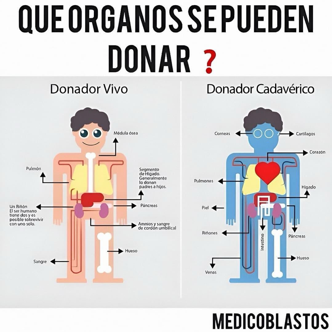 EnsedeCiencia's tweet photo. ¿Conocías estos datos sobre la donación de órganos? https://t.co/c1Mx0DlOq7
