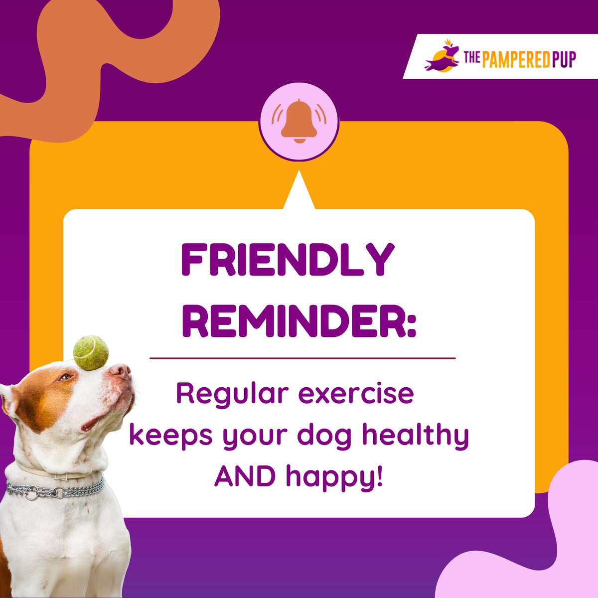 The Pampered Pup tweet media