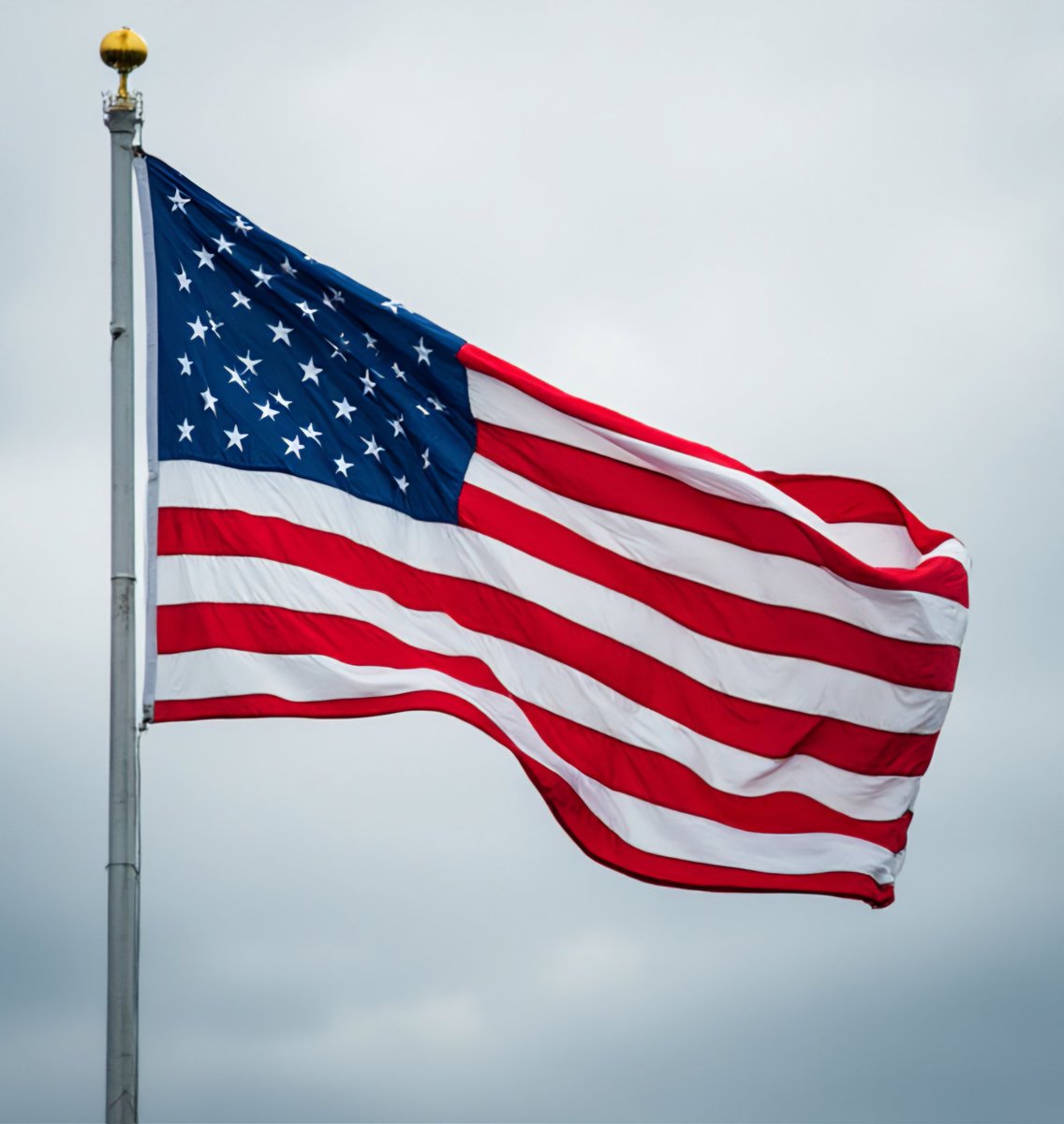 paulmaranto's tweet photo. Vote! Vote! Vote! In person and early!
🇺🇸
#Vote #VoteEarly #MAGA2024 #MAGA #MAHA #TrumpVance2024 #ClassicTrump #Epic #USA #Flag https://t.co/vBWvFPQZ4o