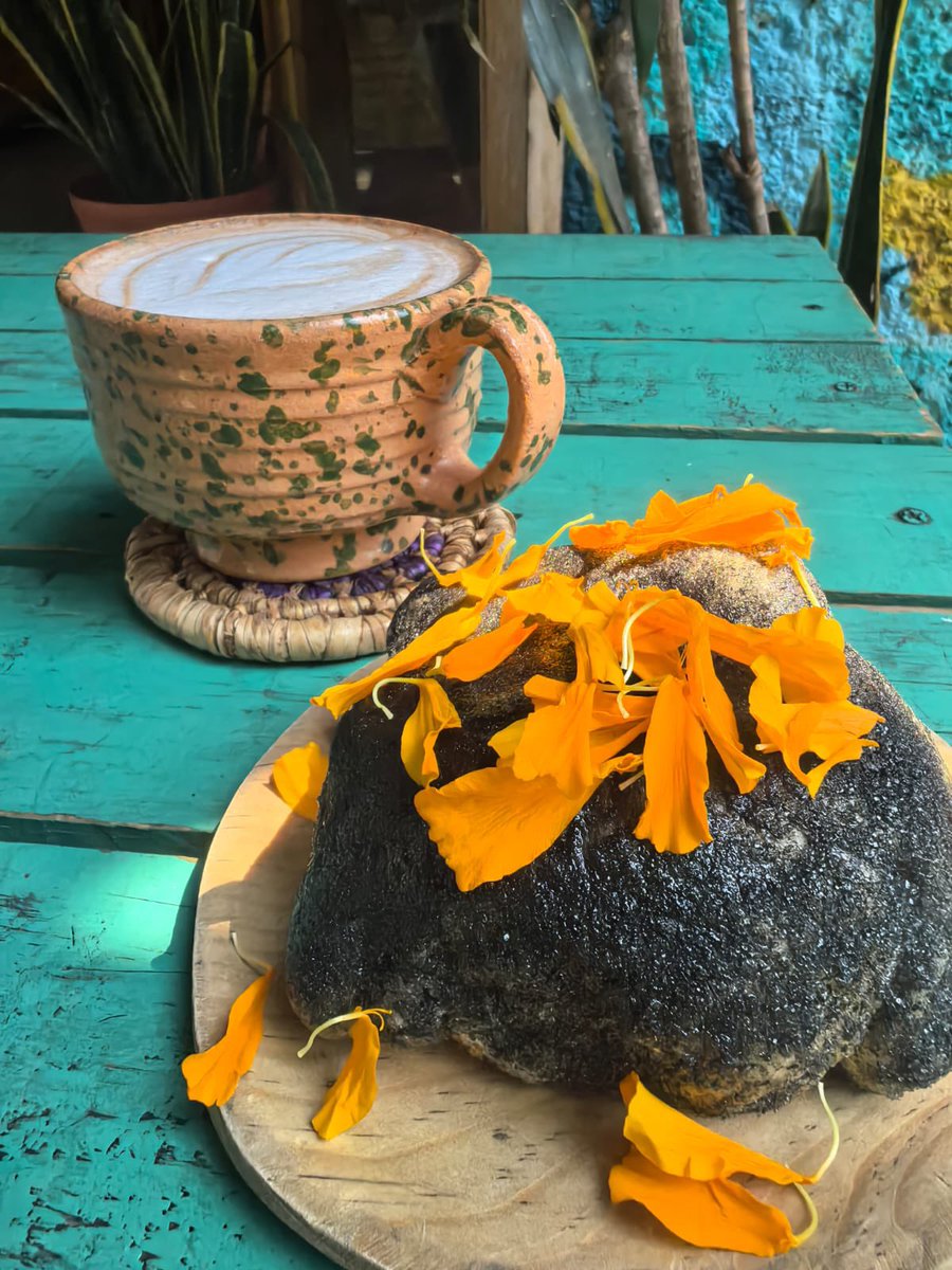 RaicesCCMX's tweet photo. Esta temporada se disfruta mucho por todos los sabores que emanan de l tierra y florecen en tonos cálidos. ¿Vienes a probar? Calabacita rellena, de am de muerto con hoja de totomoxtle, empanada de calabaza en tacha, latte de pinole y tascalatte calientito  #echandoraices https://t.co/H3KBrWFlN5