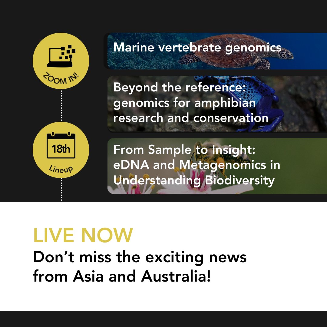 Earth BioGenome Project (@ebpgenome) on Twitter photo Don't miss all the exciting news from #BG24 #Australasia researchers LIVE NOW :
Richard Edwards, <a href="/EmmadeJong8/">Emma de Jong</a>, Alex Carey, <a href="/salojarvi/">Jarkko Salojärvi🇫🇮🇺🇦</a> and Gabriel Mochales
#genomics #genomes #genome #biodiversity Don't miss all the exciting news from #BG24 #Australasia researchers LIVE NOW :
Richard Edwards, <a href="/EmmadeJong8/">Emma de Jong</a>, Alex Carey, <a href="/salojarvi/">Jarkko Salojärvi🇫🇮🇺🇦</a> and Gabriel Mochales
#genomics #genomes #genome #biodiversity