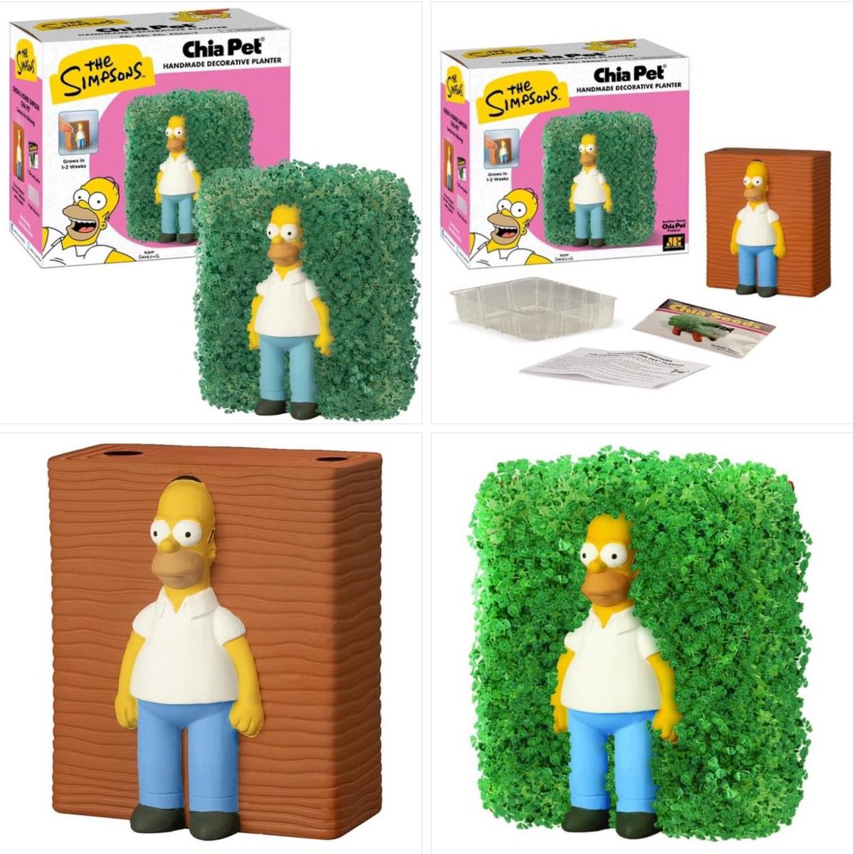 Joe Social Media 🇨🇦 tweet media