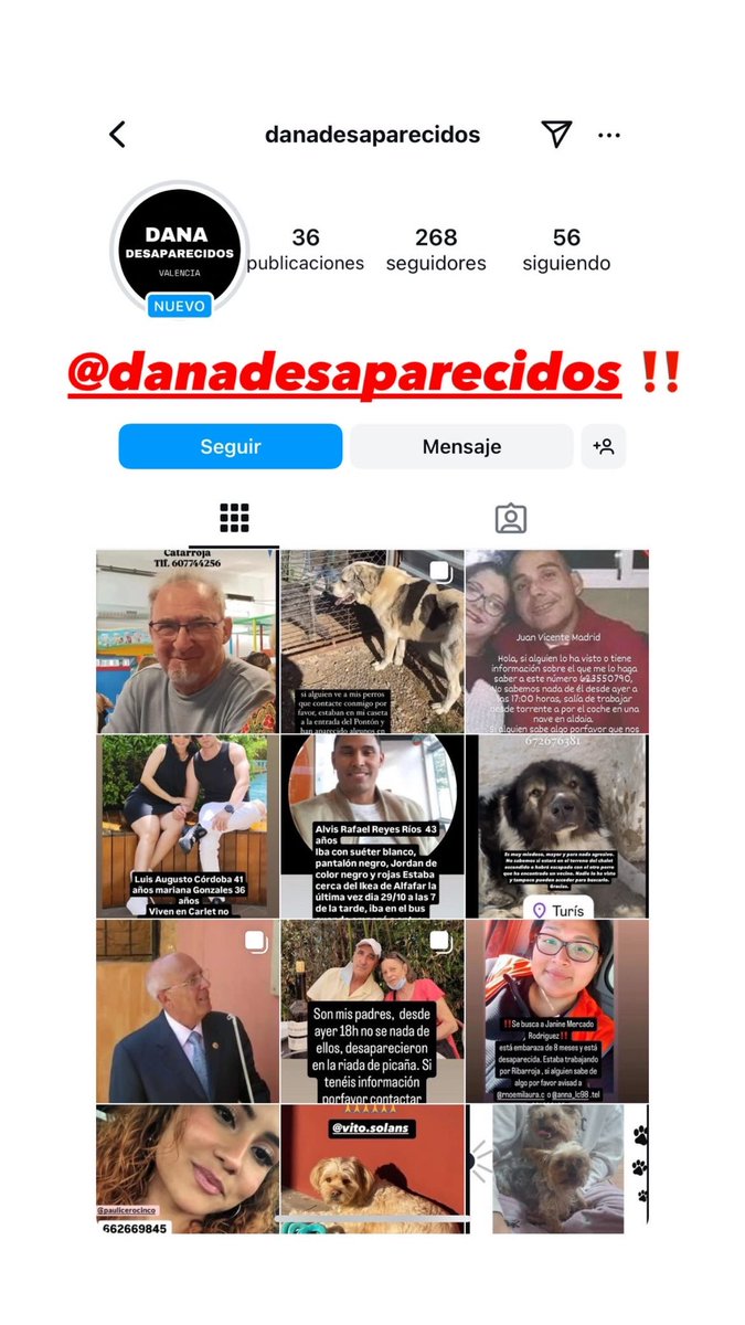 se ha creado una cuenta de instagram para intentar ayudar a las familias y amigos de los desaparecidos:

@\danadesaparecidos ‼️‼️‼️