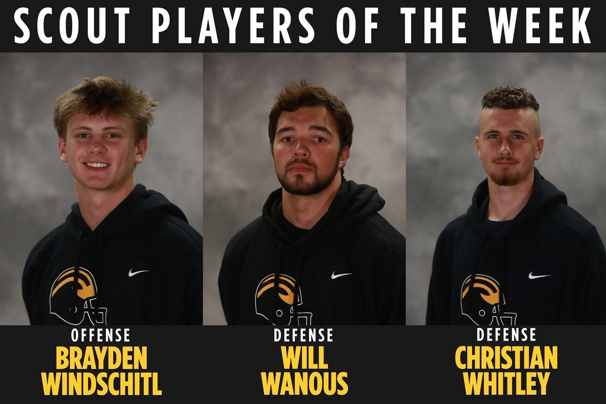 Gustavus Football tweet media