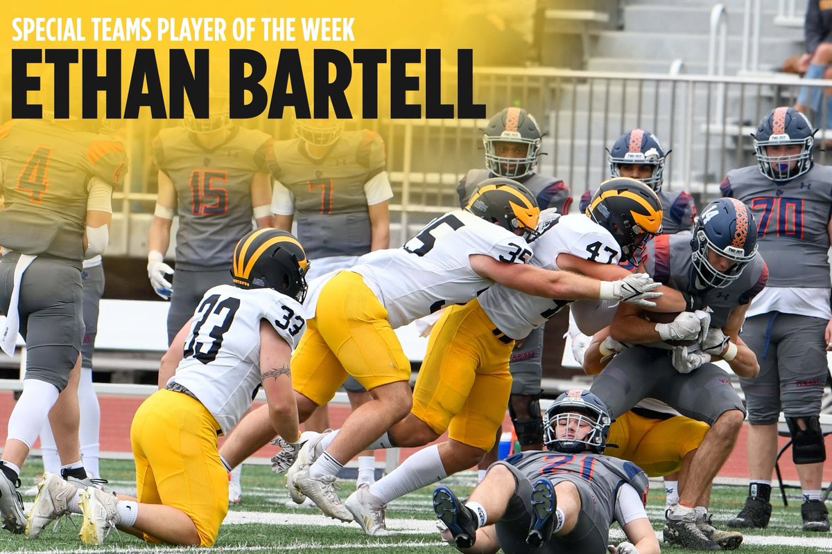 Gustavus Football tweet media