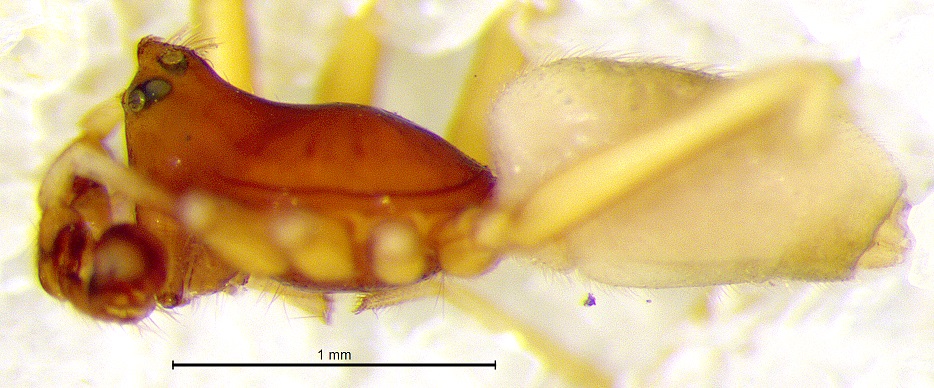 Marc A. Milne tweet media